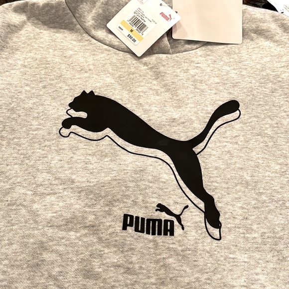 Puma Power Logo Hoodie W/Kangaroo Pocket Regular Fit Size Medium Light Grey - Picture 4 of 12